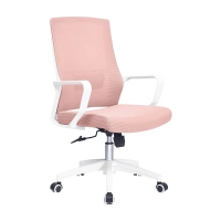 Síťovaná kancelářská židle Ergo Lowback z vláknité síťoviny